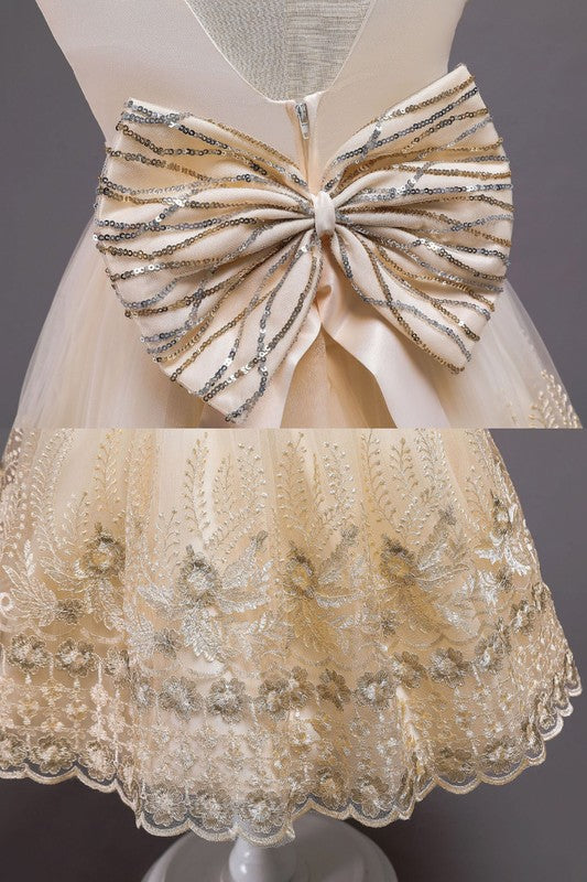 Girls Big Back Bow Party Dress
