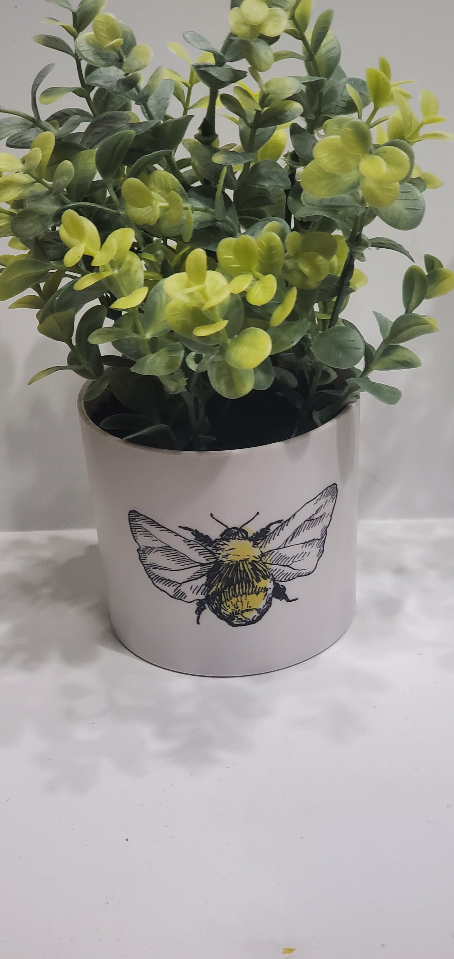 Light Up Plant
