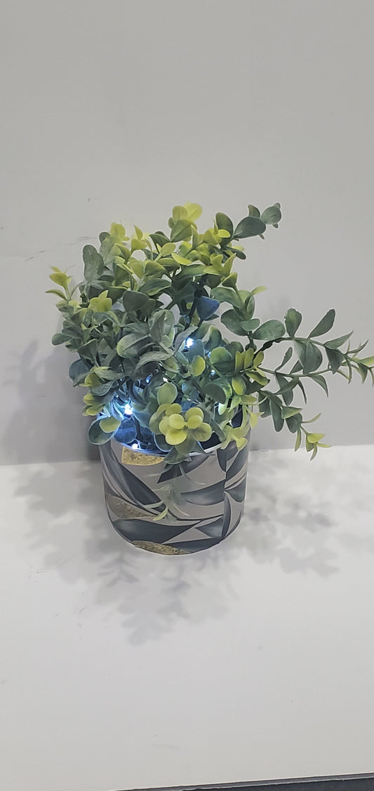 Light Up Plant