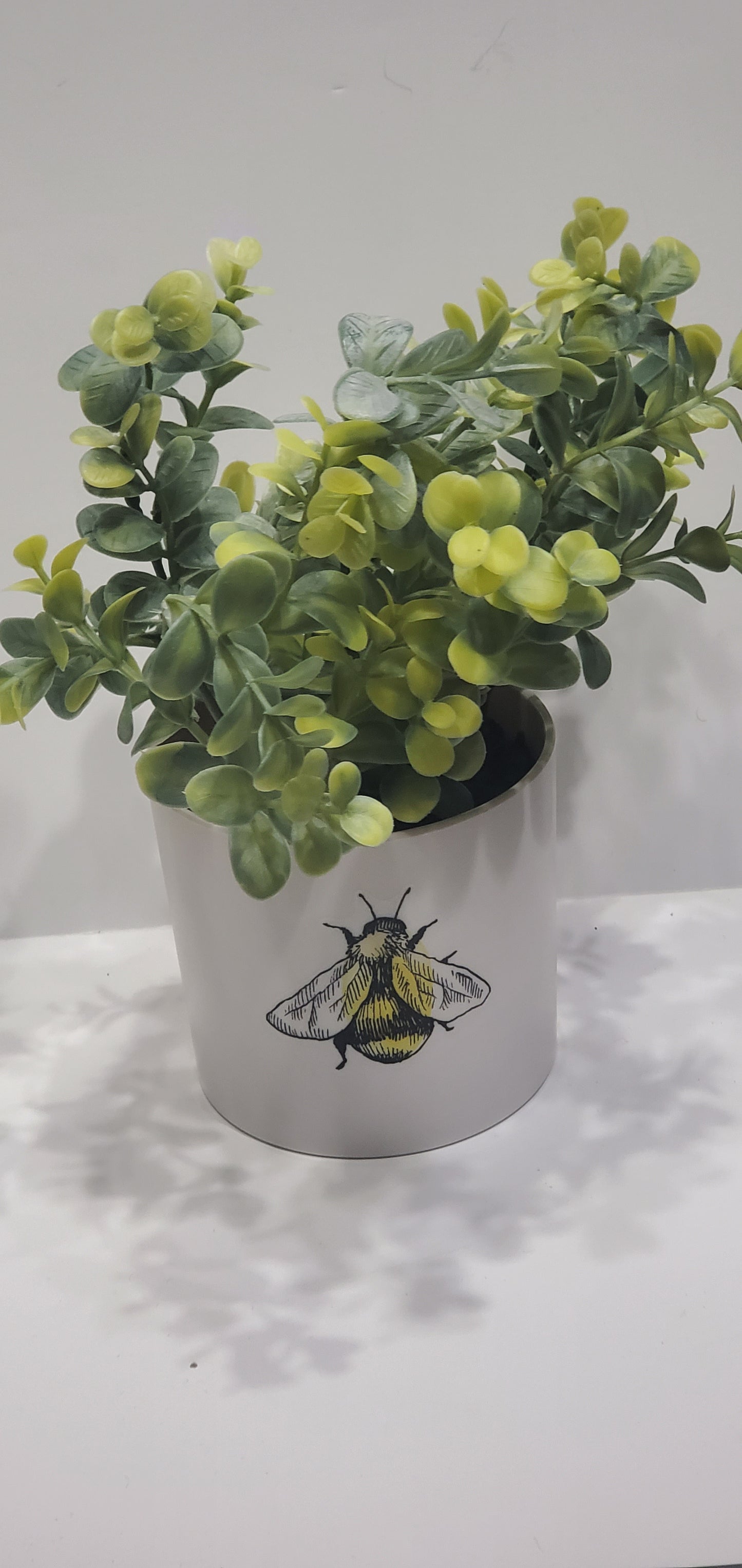 Light Up Plant