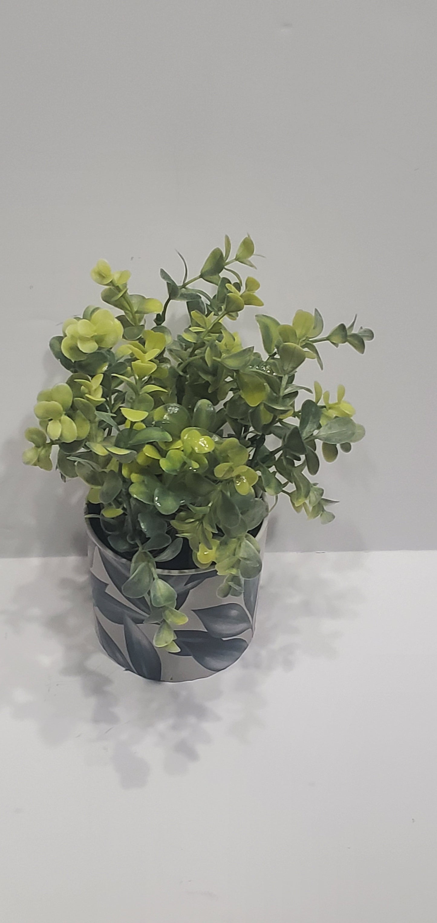 Light Up Plant