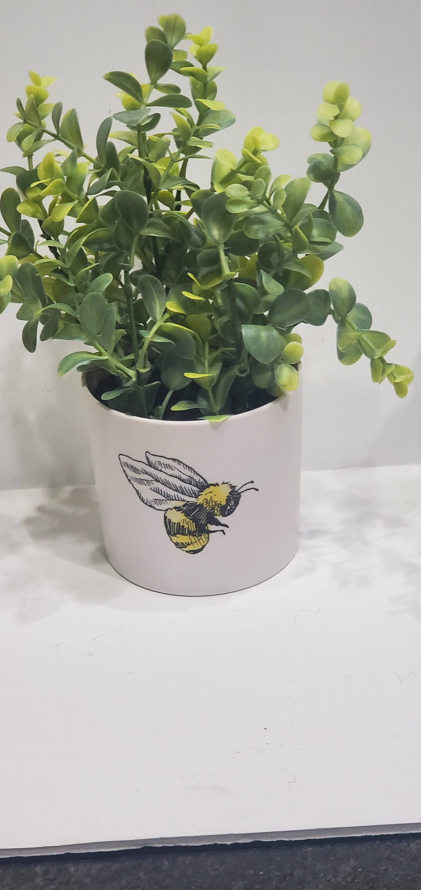 Light Up Plant